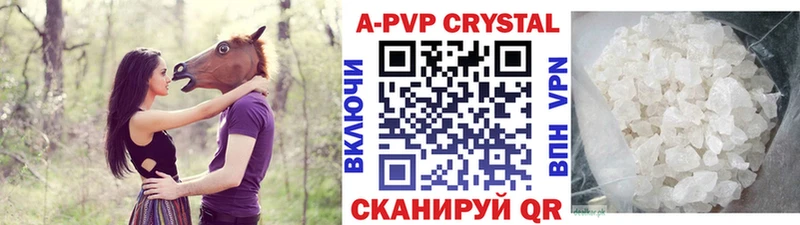 A-PVP СК  Мурманск 