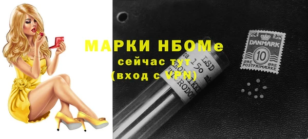 прущая мука Вяземский