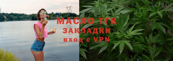 индика Волосово