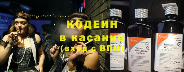 индика Волосово