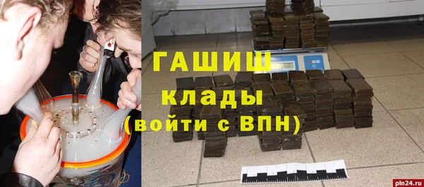 индика Волосово