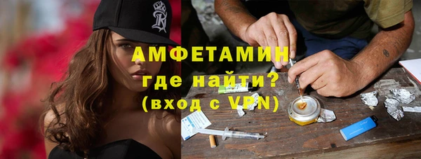 индика Волосово