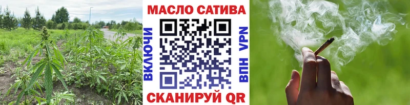 МЕГА ССЫЛКА  Мурманск  Дистиллят ТГК гашишное масло  где купить наркоту 