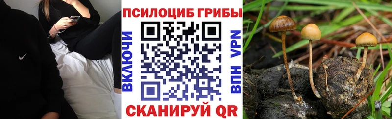 Галлюциногенные грибы Magic Shrooms  Мурманск 